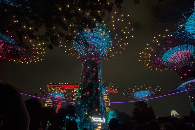 2 Pax Bundle Singapore River Cruise and Stunning Light Shows - Gardens by the Bay: Supertree Grove and Garden Rhapsody Reality Check