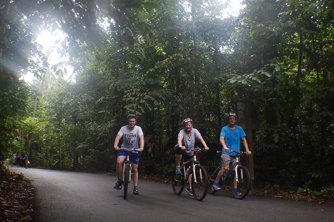 4 Hours Cycling in the Nature at Pulau Ubin Singapore - Wildlife spotting on a bike: wild boars, monkeys, and water monitors