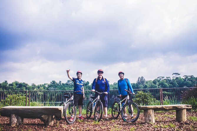 4 Hours Cycling in the Nature at Pulau Ubin Singapore - Bikes, helmets, and safety briefing: do this quick check