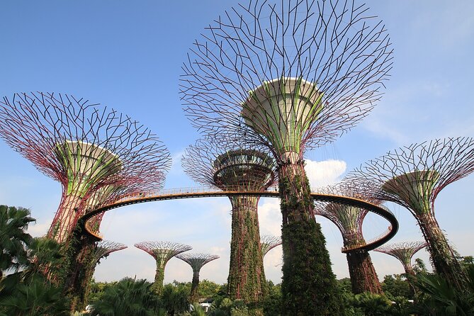 4 Hours - Singapore Tour in Private Car or Minibus with Driver - Little India: a sensory neighborhood break from the skyline