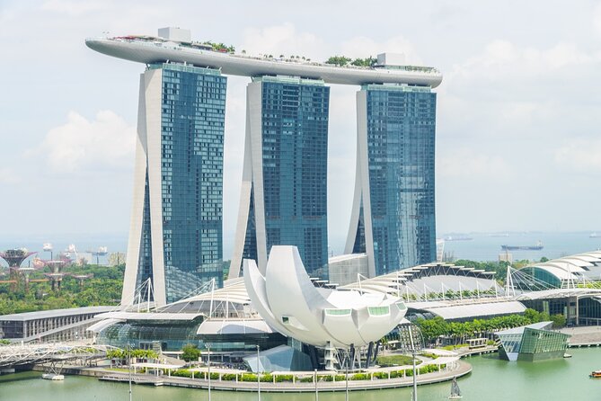 4 Hours - Singapore Tour in Private Car or Minibus with Driver - The driver experience: what you should expect from the commentary