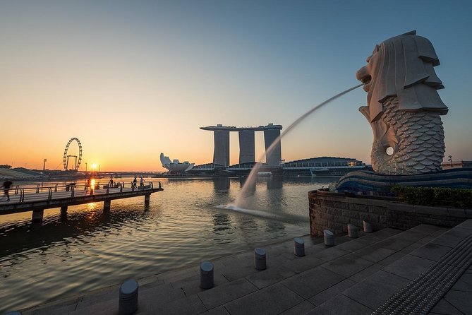 6 Hours - Singapore Tour in Private Car or Minibus with Driver - Why a Private 6-Hour Car Tour Beats DIY in Singapore