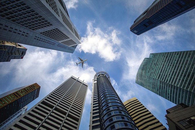 6 Hours - Singapore Tour in Private Car or Minibus with Driver - Driver vs Licensed Tour Guide: How Much Explanation Do You Want?