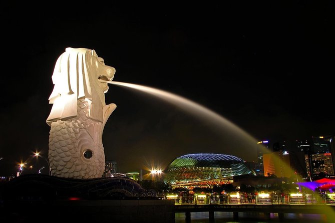 6 Hours - Singapore Tour in Private Car or Minibus with Driver - How to Use This Tour for the Best Return on Time