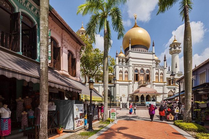 6 or 8 Hour Private Shore Excursion of Singapore by walk - Esplanade Park, Marina Barrage, and Raffles Arcade for variety