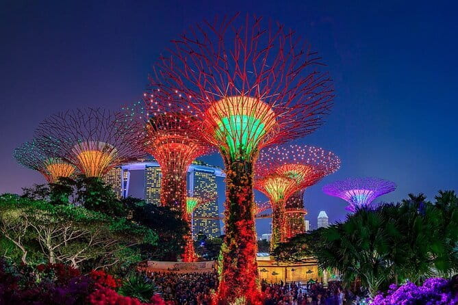 Admission E-Ticket to Gardens by the Bay Singapore - What You’re Really Getting for the $11.45 Ticket
