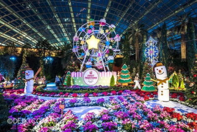 Admission E-Ticket to Gardens by the Bay Singapore - Cloud Forest: Rare Plants and a Different Kind of WOW
