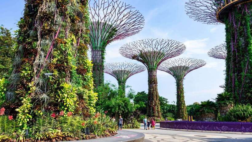 Best of Singapore: Private Walking Tour with a Local - Starting at Marina Bay Sands and shaping your day