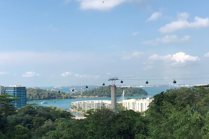 BEST Singapore Private City Tour by an Insider (1/2/3 x full-day) - Key Things You’ll Notice on This Private Singapore Tour
