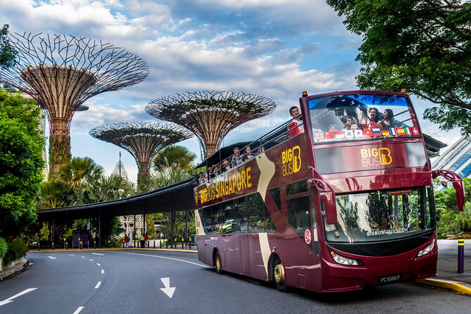 Big Bus Singapore Hop-On Hop-Off Tour - Key Things That Matter on This Hop-On Hop-Off Tour