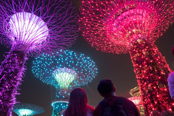 Big Bus Singapore Night Tour with Gardens by the Bay Light Show - Rain, timing, and keeping your evening calm