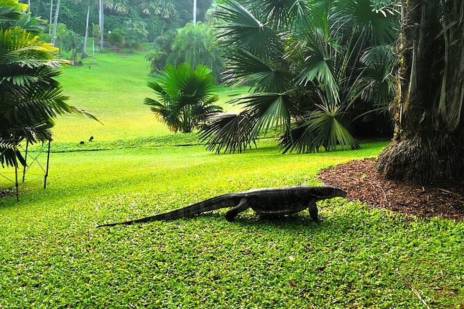 Botanic Gardens & Tiong Bahru Walking Tour with Breakfast - Price and Value: Is $49 a Fair Deal for This Mix?