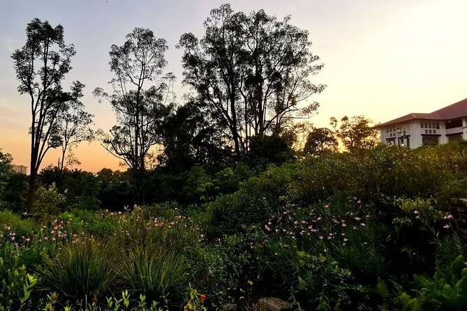 Botanic Gardens & Tiong Bahru Walking Tour with Breakfast - Who Should Book This Tour (and Who Might Not)