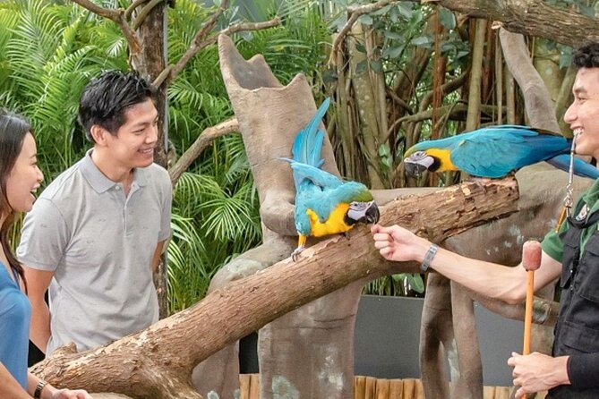 Breakfast In the Wild at Singapore Zoo Promo - Why the Wild Breakfast Works So Well at Singapore Zoo