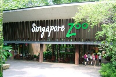 Breakfast In the Wild at Singapore Zoo Promo - Animal Ambassador Interaction and Photo Moments