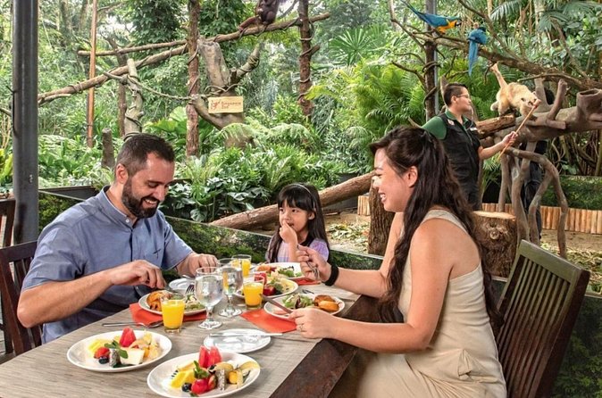 Breakfast In the Wild at Singapore Zoo Promo - Timing and Duration: Plan for a 4 to 5 Hour Morning
