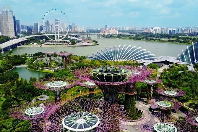 City Tour+Gardens by the Bay(FlowerDome&JurassicWorld) Transfers - Gardens by the Bay first: Cloud Forest’s glass mountain experience