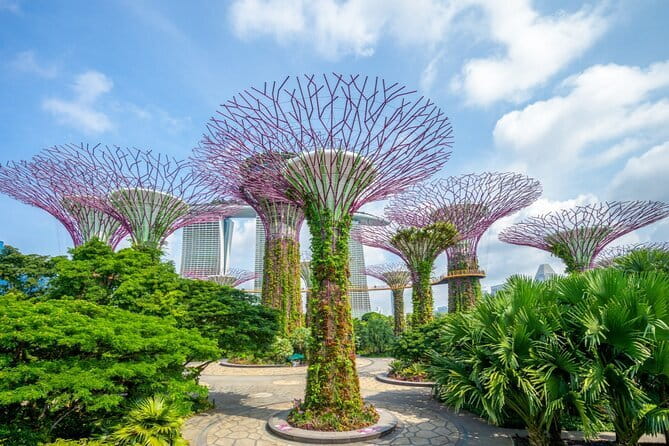 eSIM 4G/5G Data for Asia 8 Areas Singapore Thailand MY VN HK TW - Coverage in real life: what to expect when the signal gets tricky