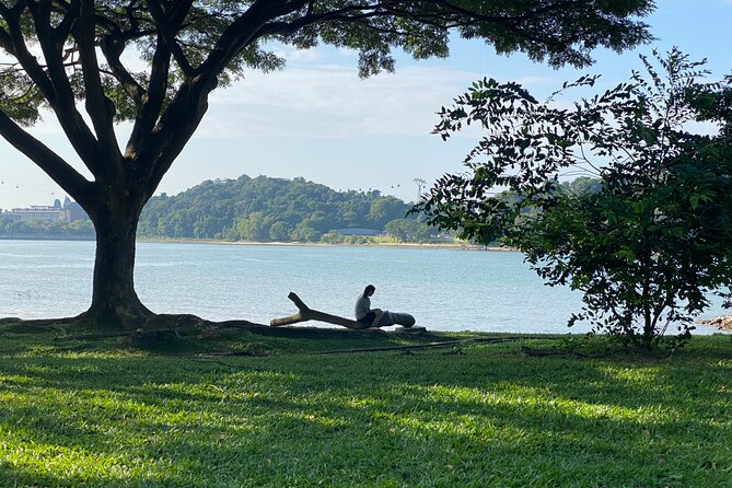 Exploring Singapore’s Forgotten Hills - Getting There Smoothly: Harbourfront Start and Labrador Park End