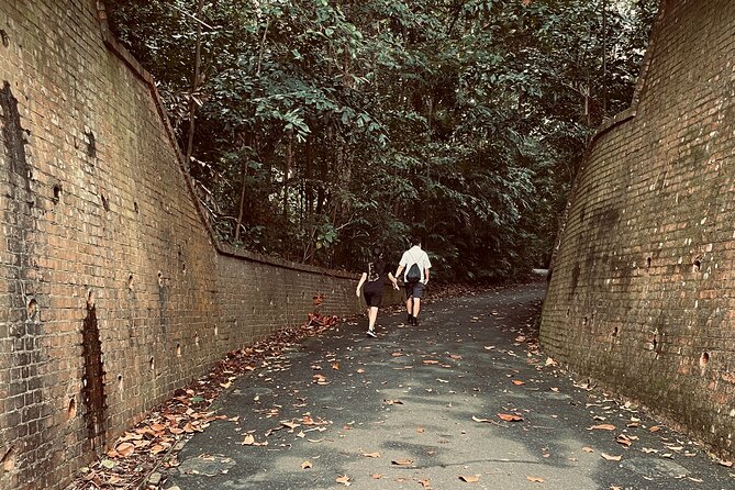 Exploring Singapore’s Forgotten Hills - Fitness, Weather, and Pace: Know What You’re Signing Up For
