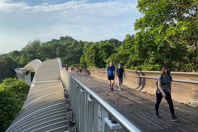 Exploring Singapore’s Forgotten Hills - Henderson Waves: Singapore’s Highest Pedestrian Bridge for a Quick Breather