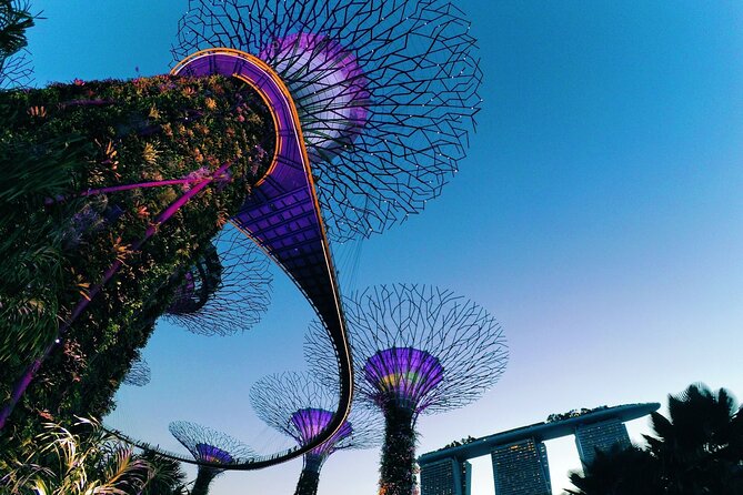 Fabulous Night-Out Private Tour in Singapore - Merlion Park: One Landmark Stop That Anchors the Whole Evening