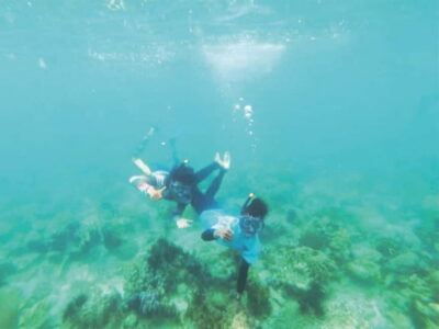 From Singapore : Private Batam Island Snorkeling and Canoe - Snorkeling Plan: What You’ll See Around Ranoh, Dadap, and Abang