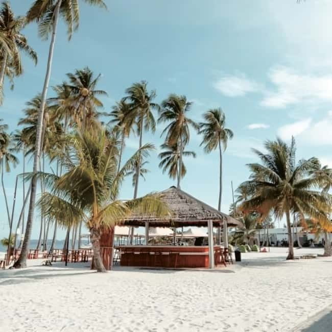 From Singapore : Private Batam Island Snorkeling and Canoe - Price and Value: Is $376 Per Person Worth It?