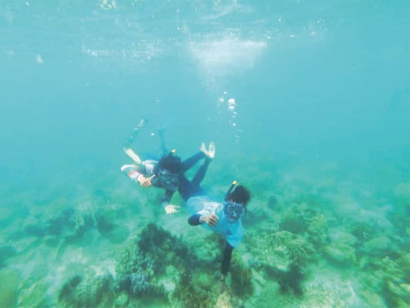 From Singapore : Private Batam Island Snorkeling and Canoe - Snorkeling Plan: What You’ll See Around Ranoh, Dadap, and Abang