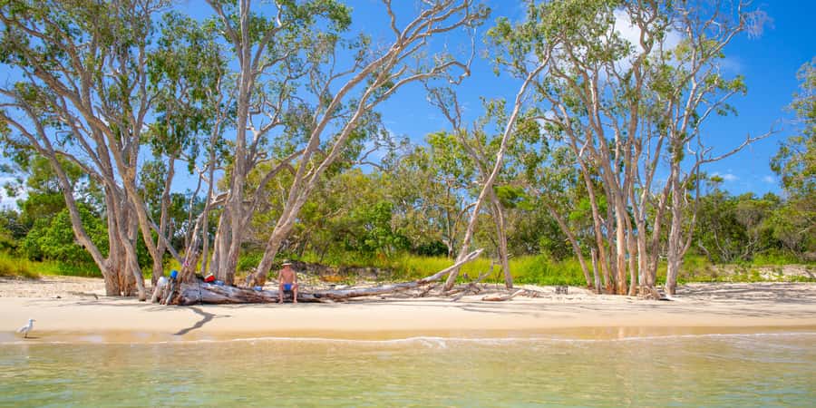 From Yeppoon: Great Keppel Island Snorkeling Hire with Lunch - Great Keppel Island Day Trip: what you’re really buying for $77