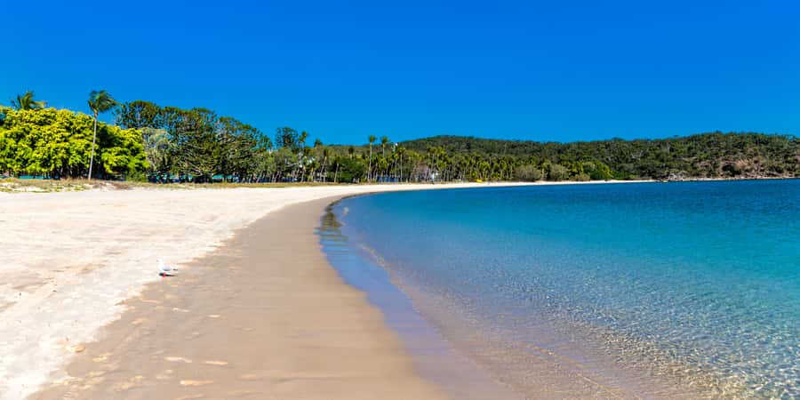 From Yeppoon: Great Keppel Island Snorkeling Hire with Lunch - Lunch at The Hideaway Bar & Bistro: included food that actually fits the day
