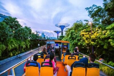 FunVee™ Sightseeing Hop On Hop Off Day Pass - Price and What You’re Really Buying at $27.93