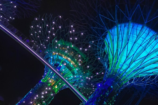 Garden by the Bay Singapore combo - Cloud Forest: misty glass dome and Jurassic World energy