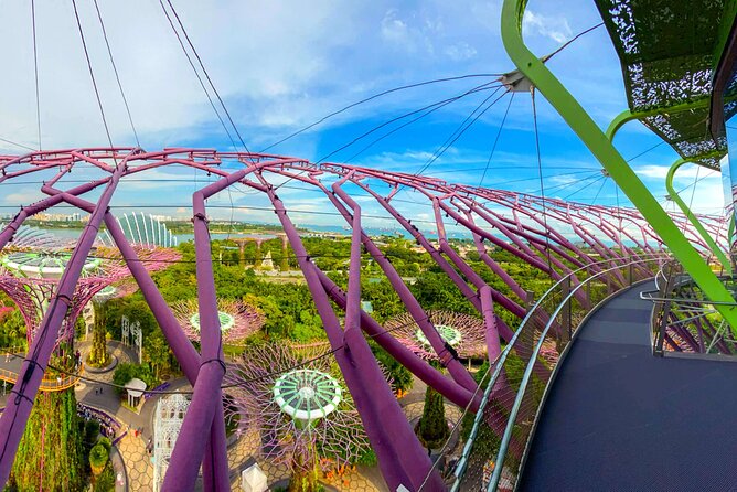 Garden by the Bay Singapore combo - Optional: OCBC Skyway for that suspended walkway feeling