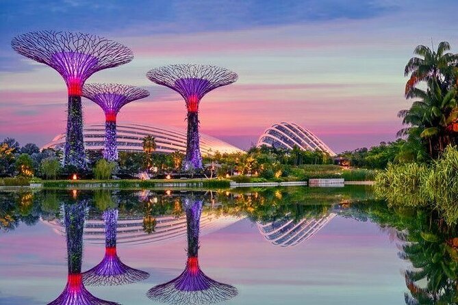 Gardens by the Bay E - Ticket with Flower Dome +CF Singapore - Quick take: the big decision