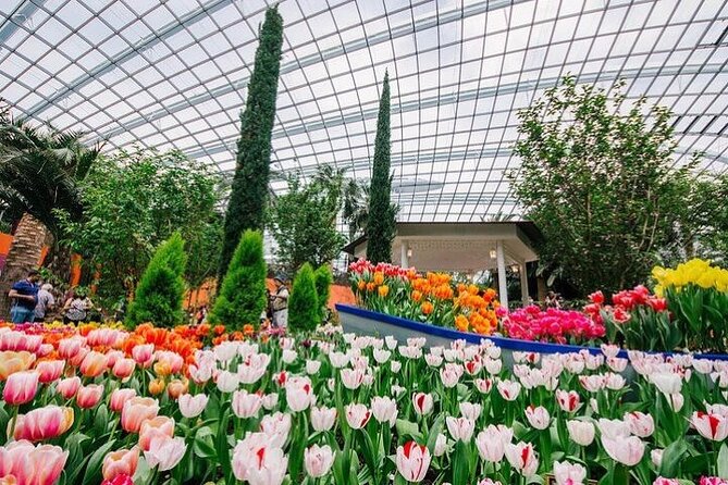 Gardens by the Bay E - Ticket with Flower Dome +CF Singapore - Two domes, one e-ticket: the fast way to “get” Gardens by the Bay