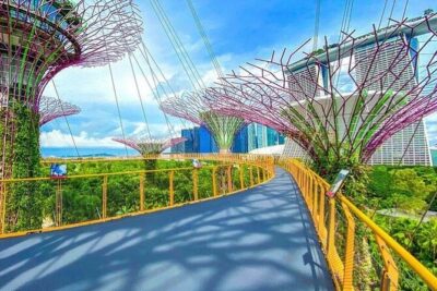 Gardens by the Bay E - Ticket with Flower Dome +CF Singapore - Key things to know before you go