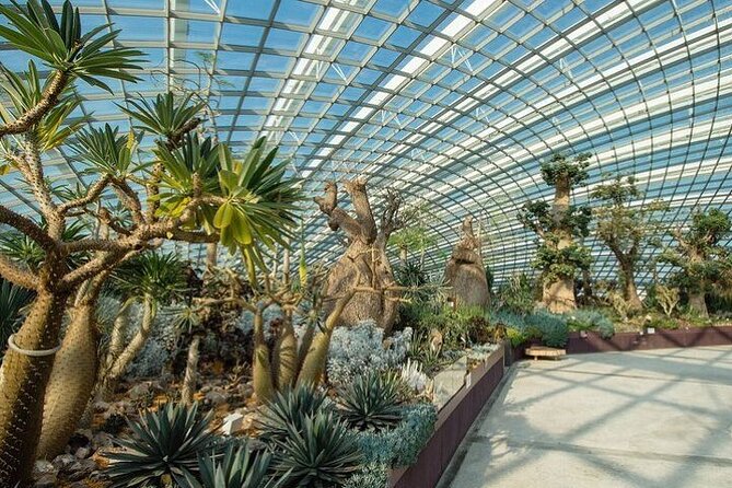 Gardens by the Bay E - Ticket with Flower Dome +CF Singapore - Flower Dome and Tulipmania: the giant glass greenhouse feel