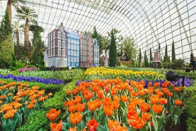 Gardens By The Bay E-Tickets - Stop 1: Gardens by the Bay grounds and the Marina Bay setting