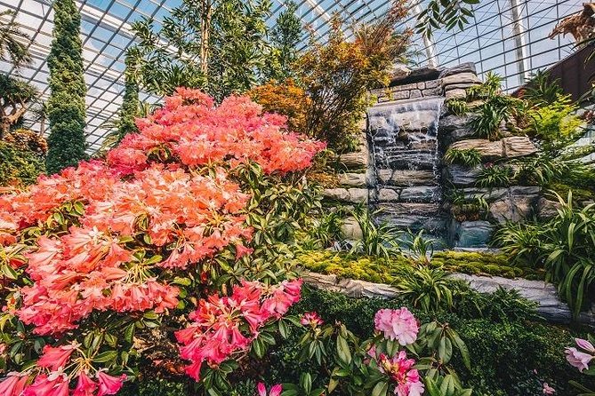 Gardens By The Bay E-Tickets - Cloud Forest: multi-story rainforest energy with Jurassic World