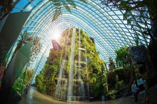 Gardens By The Bay E-Tickets - Flower Dome: greenhouse cool-down with artistic plant design
