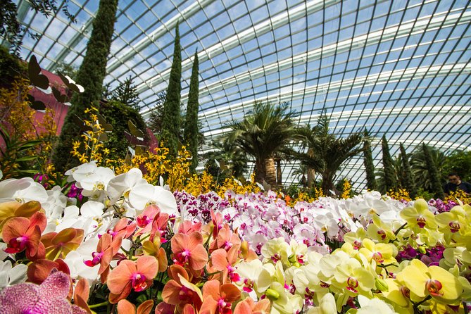 Gardens By the Bay Exp Event - Flower Dome: nine dry-climate gardens across five continents
