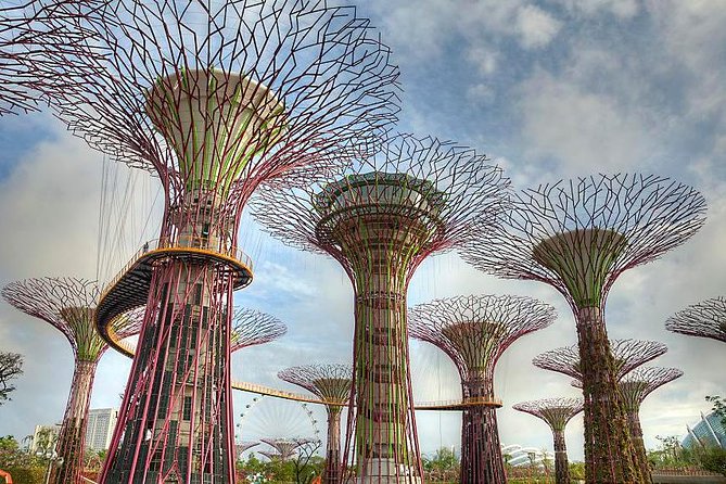 Gardens By the Bay Exp Event - The practical day plan: how long you’ll really need