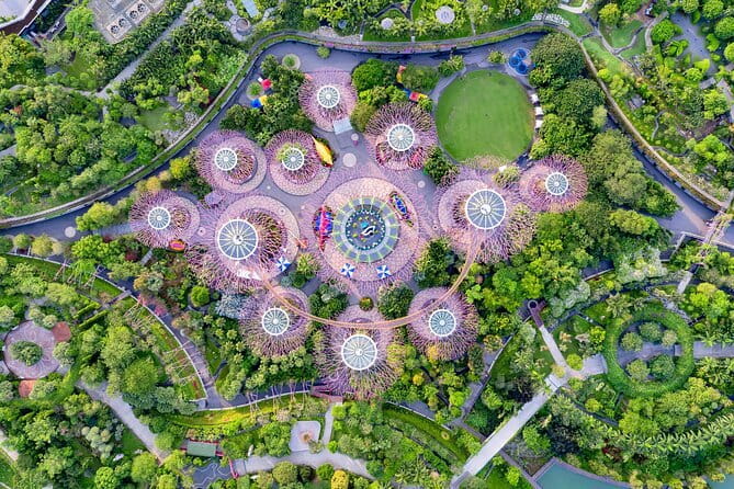Gardens by the Bay Guided Tour - Key Highlights You’ll Feel Right Away