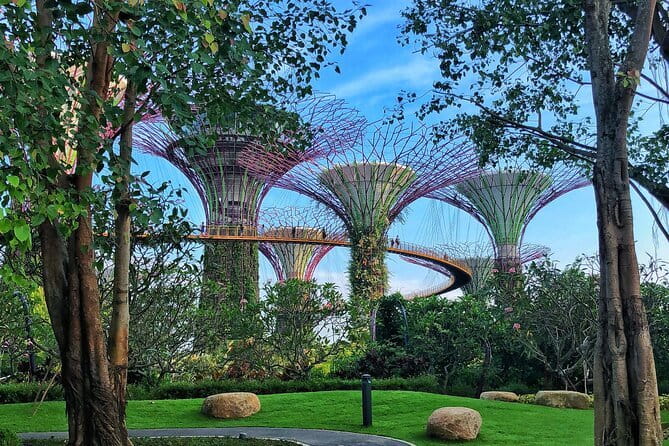 Gardens by the Bay Guided Tour - Gardens by the Bay in 2.5 Hours: Why This Tour Works
