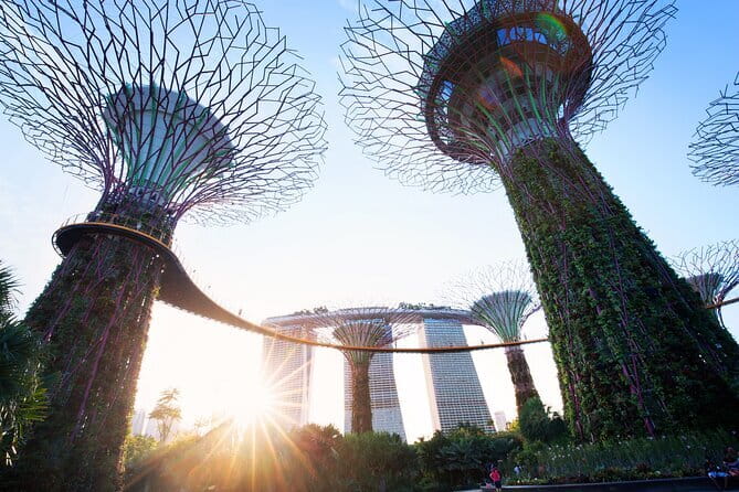 Gardens by the Bay Guided Tour - Cloud Forest and the Indoor Waterfall Suspension Bridge