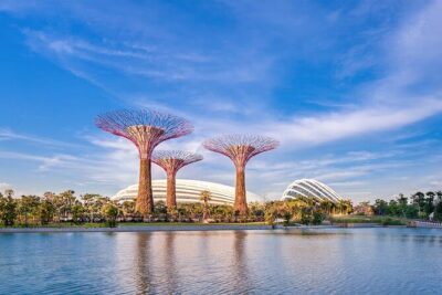 Gardens by the Bay & Marina Bay Sands Tickets - Supertree Grove at night: your Gardens timing game plan