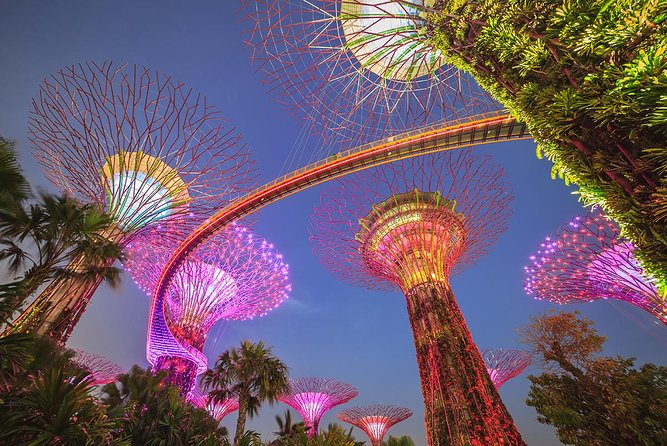 Gardens by the Bay with 2 Flower Dome + Marina Bay Sands Skypark - Key things to know before you go