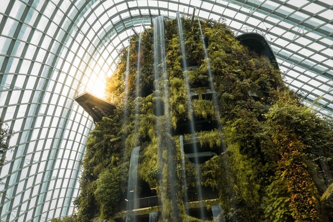 Gardens by the Bay with 2 Flower Dome + Marina Bay Sands Skypark - Cloud Forest: A Different Climate Experience in the Domes