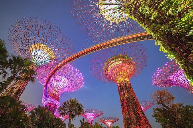 Gardens by the Bay with 2 Flower Dome + Marina Bay Sands Skypark - Marina Bay Sands SkyPark: The Skyline View With a Hard Deadline